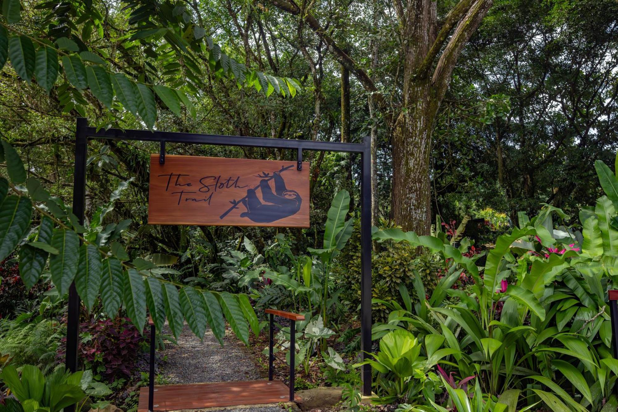 Noah'S Forest Hotel By Tifakara La Fortuna Extérieur photo